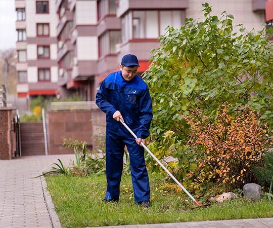 Уборка территории в Россоши и  Воронежской области